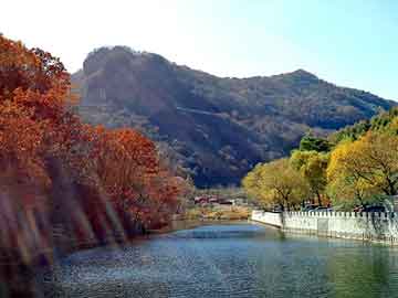 新澳天天开奖资料大全旅游团，小型制丸机